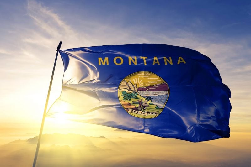 Montana State Flag - Billings