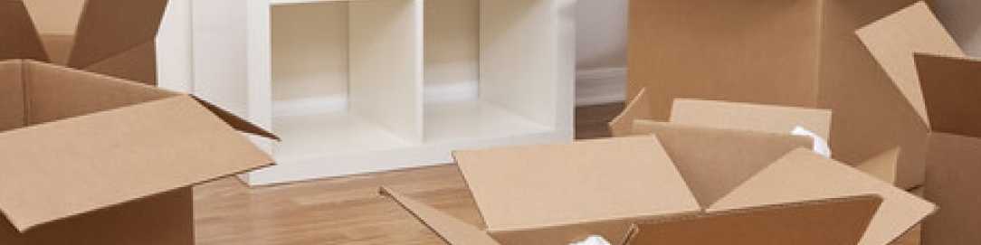 Balgowlah Heights Removalists